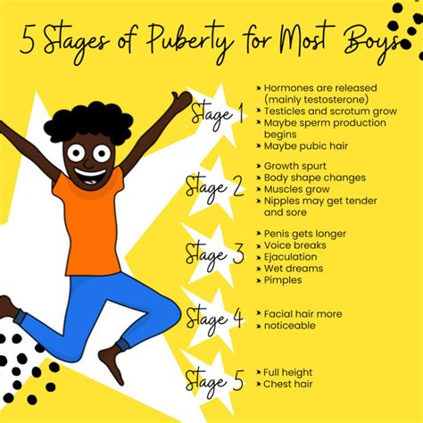 teen hard|Stages of Puberty Explained in Pictures